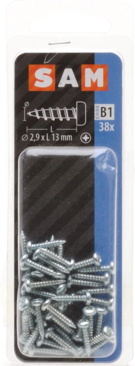 38x SAM  Zelftappence schroef cyl. kop 2.9x13mm B1 816002