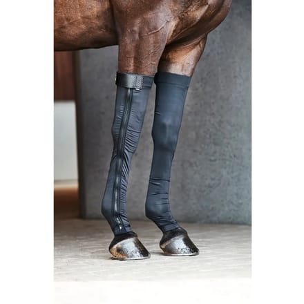 Herstelsokken voor paarden Catago FIR-Tech