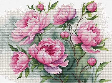 Luca-S The Charm of Peonies borduren (pakket) B7019