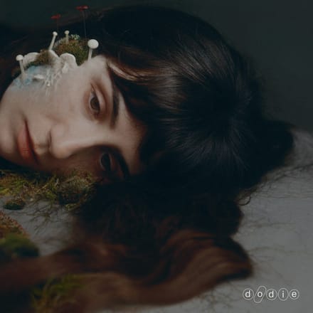 Dodie - Not For Lack Of Trying (LP) (Black Eco)