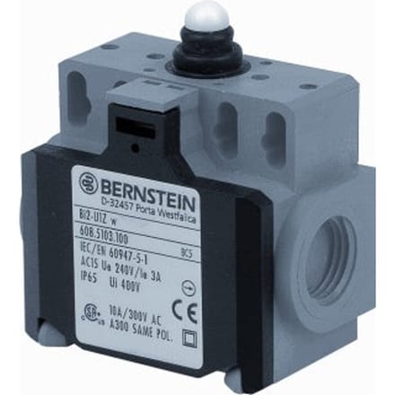Bernstein Eindschakelaar - 6085103100