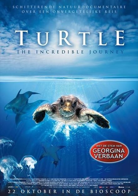 Turtle - The incredible journey (DVD)