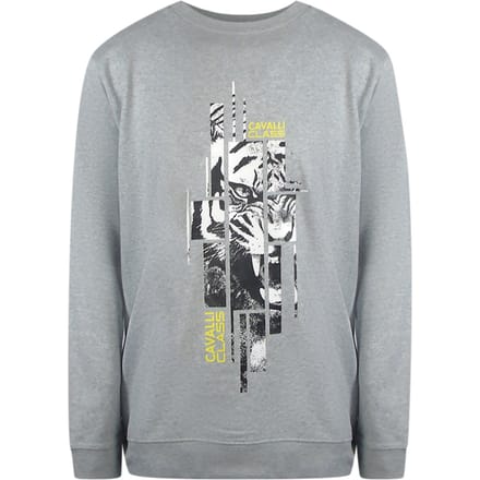 Cavalli Class Splintered Tiger Grafisch Grijs Sweatshirt