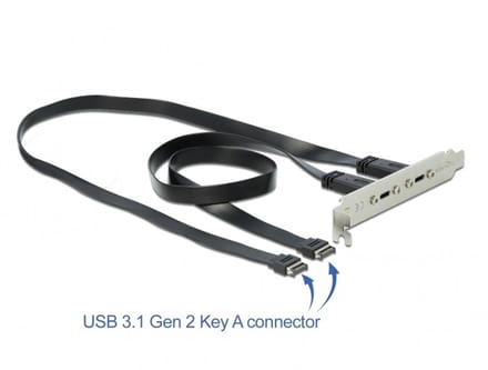 Delock USB 3.1 Gen 2 Slot Bracket with 2 x USB Type-C™ Ports