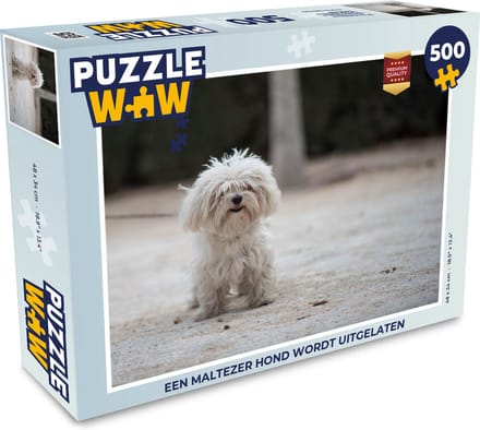 Puzzel Een Maltezer hond wordt uitgelaten - Legpuzzel - Puzzel 500 stukjes