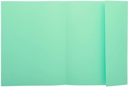 Exacompta 5x SUPER 160 Pak van 100 mappen met 1 klep - 24x32cm - - Lichtgroen - 348004E