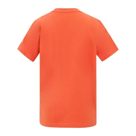 Regatta Kinderen Bosley Palmboom T-Shirt (Roestig Oranje)