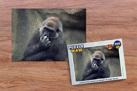 Puzzel Schattige Gorilla krabt in zijn neus - Legpuzzel - Puzzel 500 stukjes