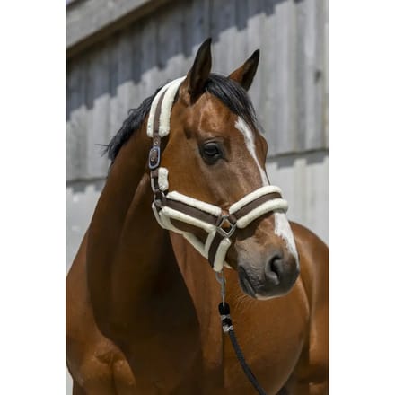 Halster voor paarden Norton Cosy
