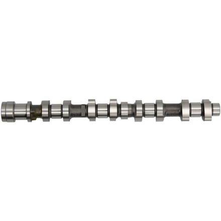 Nokkenas  AE CAM959