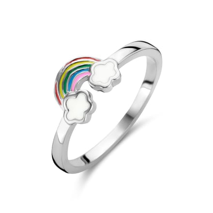 Gerhodineerd Zilver Ring Regenboog 1336209