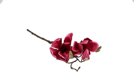 Countryfield Kunstbloem Magnolia Cinthya fuchsia