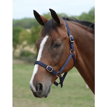 Halster en touwset voor paarden Roma