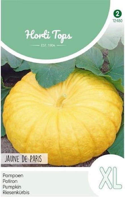 Hortitops Zaden - Pompoenen Geelvlezige (Centenaars)