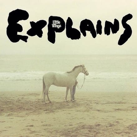 Little Wings - Explains (LP)