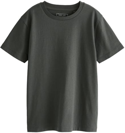 Next - Jongens - T-shirt met korte mouwen standaard pasvorm - Grijs