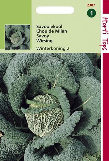 Hortitops Zaden - Savooiekool Winterkoning 3