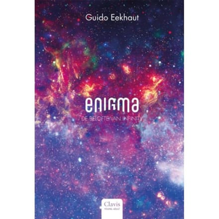 De Belofte Van Infinity - Enigma - Guido Eekhaut