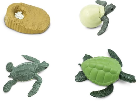 Speelset – De levenscyclus van een schildpad | 4 speelfiguurtjes - Educatief speelgoed
