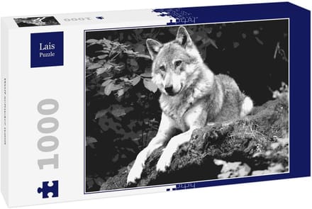 Puzzel 1000 Stukjes - Dieren Puzzel - Ontspanning Thuis - Uitdagend Ontwerp - 68x48 cm - Zwart Wit