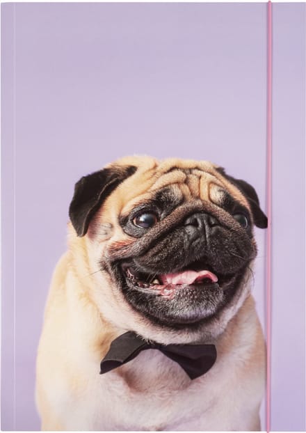 Verzameltas A3 van Stevig Karton met Elastiek - Basic Puggy Love