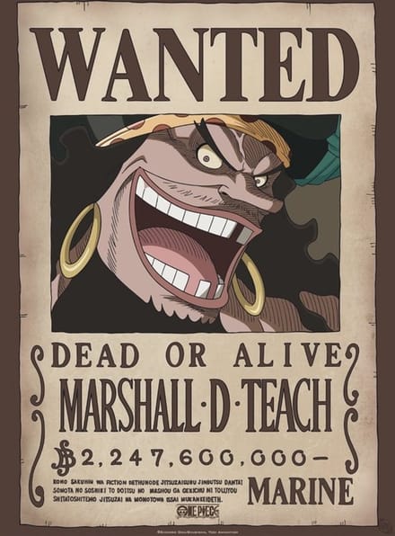 Pit Boss | Butcher paper houder, magnetisch