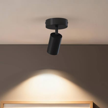 Calex Plafondlamp - 1-Lichts - Opbouwspot - Rond - Zwart - Goud