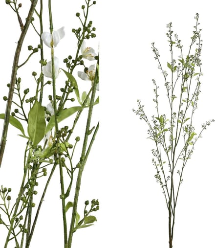PTMD  leaves plant groen wit berry branch with