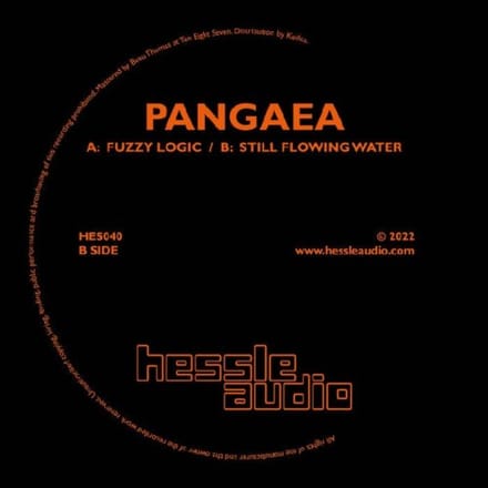 Fuzzy Logic / Still Flowing Water - Pangaea