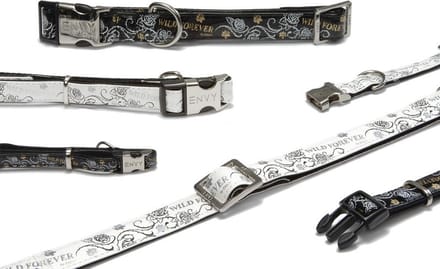 Beeztees Envy halsband hond Wild forever - Zwart - 48-70 cm