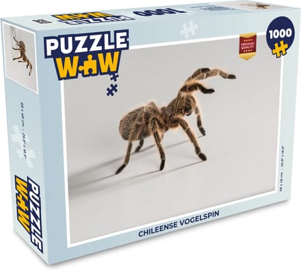 Puzzel Chileense vogelspin - Legpuzzel - Puzzel 1000 stukjes volwassenen