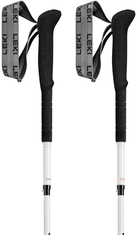 Leki Skytera Fx.one Sl Stokken Grijs 105 cm