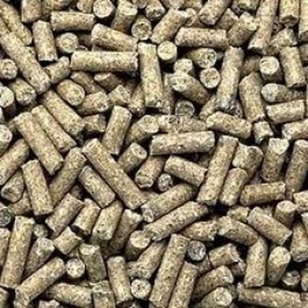 Fakkert Biologisch Biologische Lammeren opfokkorrel 20KG
