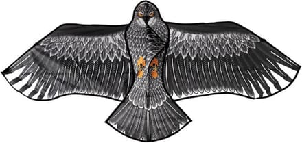 Vlieger Roofvogel 180x80cm