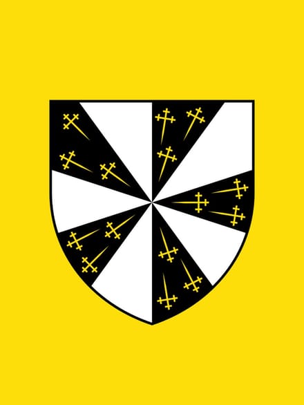 Vlag Pepingen 150x225cm
