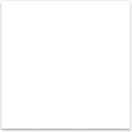 Boston PG-133-W pickguard material, 1 ply, 30x29cm, white