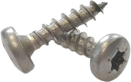RVS Houtschroeven 5 x 20 mm - 100 stuks Volledige Schroefdraad Torx
