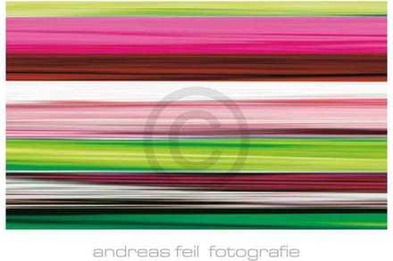 Kunstdruk Andreas Feil - Fotografie II 138x95cm