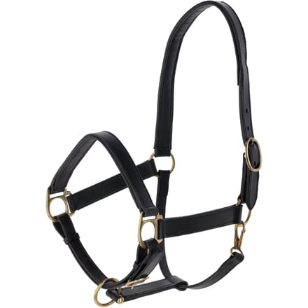 Leren halster voor paarden Kerbl Eco