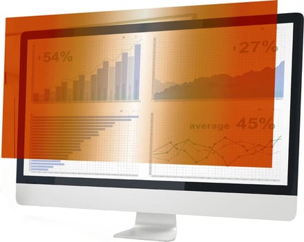 Gold Privacy Filter 23.8" 528