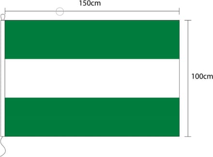 Vlag van Rotterdam 100 x 150cm