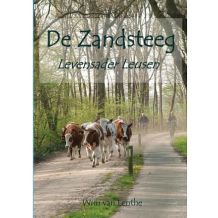 De Zandsteeg - Wim van Lenthe
