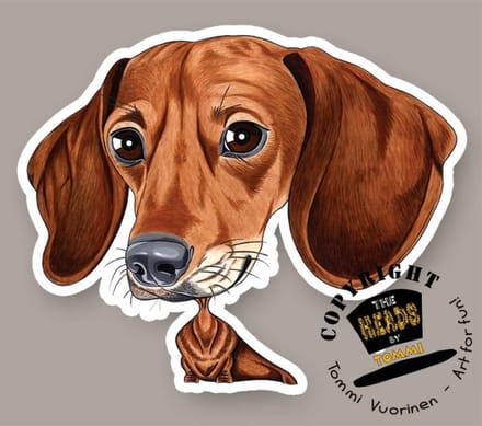 Magneet Hond Teckel