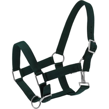 Halster voor paarden Norton Extra