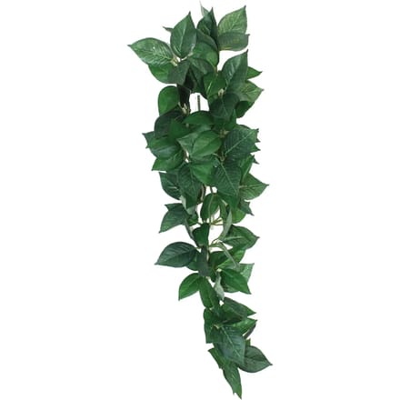 Reptielen schuilplaats Komodo Sumatra Hanging Vine