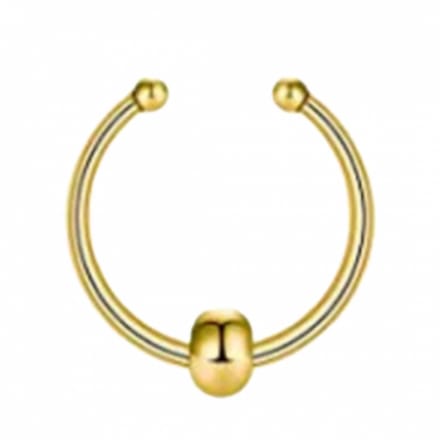 Fake Neus Piercing -Klein-Ring-Goudkleurig - Charme Bijoux