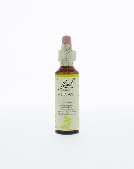 Bach Wild Rose / Hondsroos - 20 ml - Voedingssupplement