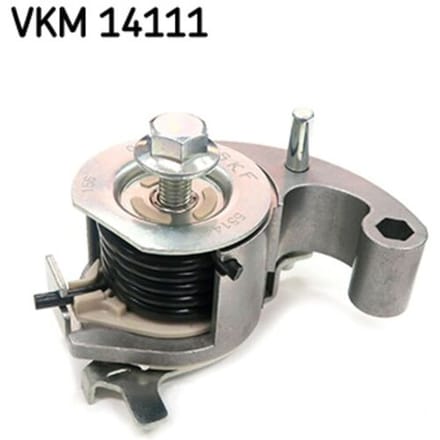 Tandriempoelie SKF VKM 14111