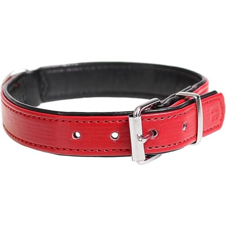 Hondenhalsband Duvoplus Chic