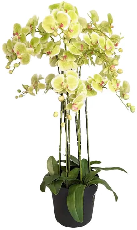 Orchidee Kunstplant 9-tak 110 cm - Groen